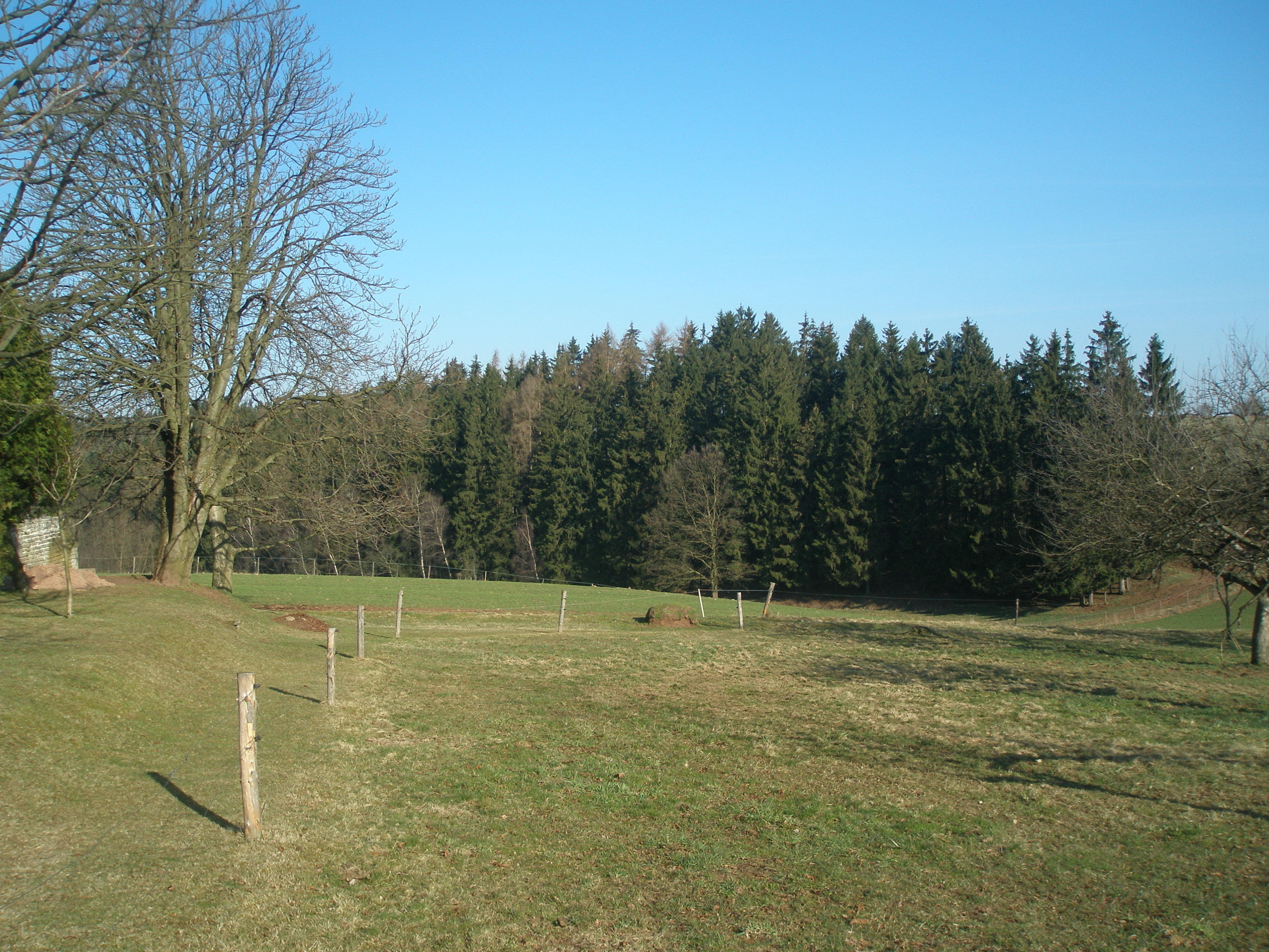 P4034902.JPG