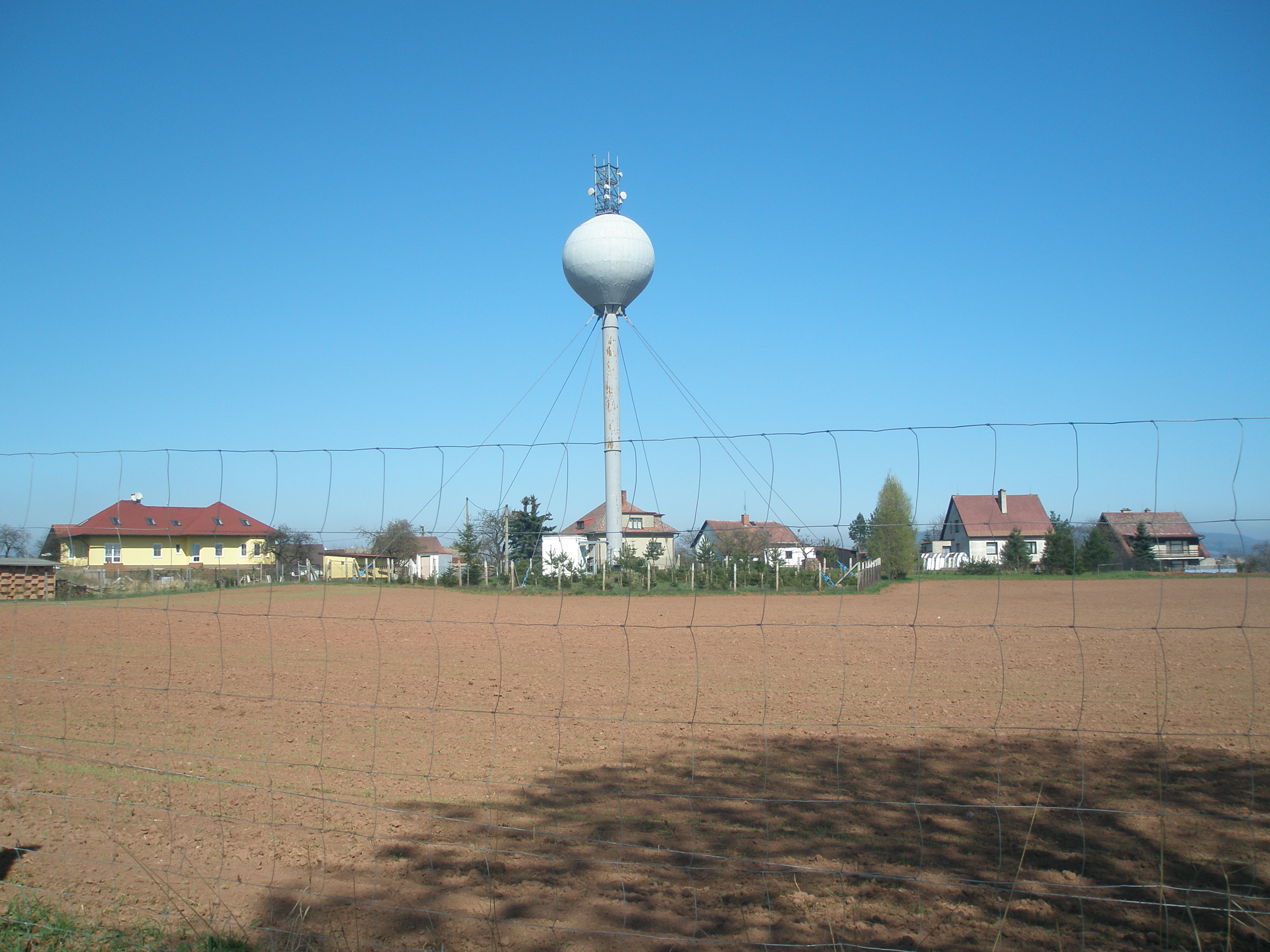 P4125022.JPG